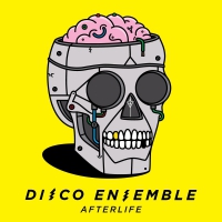 Disco Ensemble - Afterlife Limited vinyl cover