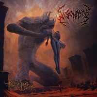 Disentomb - The Decaying Light vinyl cover