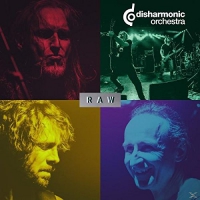 Disharmonic Orchestra - Raw vinyl cover