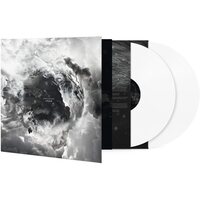 Disillusion - Ayam vinyl cover