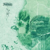 Dismalimerence - Resplendence vinyl cover