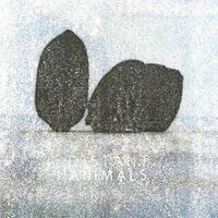 Distant Animals - Lines vinyl cover