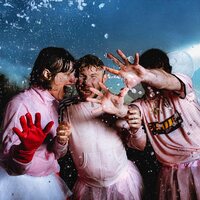 Ditter - Cringe Is the New Sexy vinyl cover