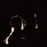 Diva - Air vinyl cover