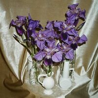 Dives - Wanna Take You There vinyl cover