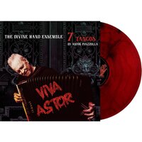 Divine Hand Ensemble - Viva Astor vinyl cover