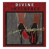 Divine Interface - Seeking Arrangement vinyl cover