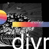 Divr - Is This Water vinyl cover