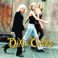 Dixie Chicks - Wide Open Spaces vinyl cover