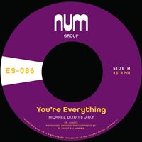 Dixon Michael A. & J.o.y. - You're Everything B/W You're All I Need