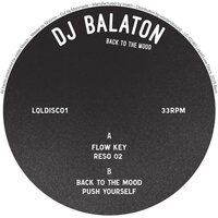 DJ Balaton - Back To The Mood vinyl cover