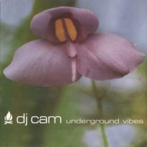 Dj Cam - Underground Vibes vinyl cover