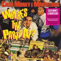 Dj Cash Money - Where's The Party At vinyl cover