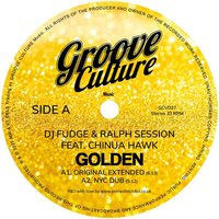 DJ Fudge - Golden vinyl cover