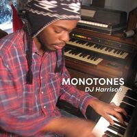 Dj Harrison - Monotones vinyl cover