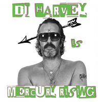 Dj Harvey - Dj Harvey Is The Sound Of Mercury Rising Vol Ii / Various vinyl cover