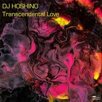 Dj Hoshino - Transcendental Love vinyl cover