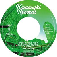 Dj Kawasaki - When It Feels Right vinyl cover