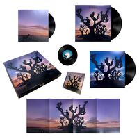 Dj Koze - Knock Knock vinyl cover