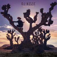 Dj Koze - Knock Knock vinyl cover
