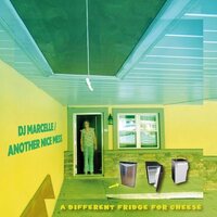 DJ Marcelle & Another Nice Mess - A Different Fridge For Cheese vinyl cover