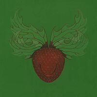 Dj Python - Derretirse vinyl cover