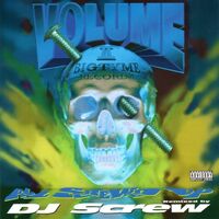 Dj Screw - All Screwed Up vinyl cover