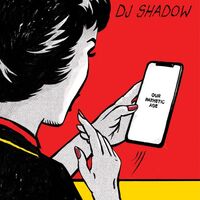 Dj Shadow - Our Pathetic Age vinyl cover