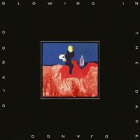 Django Django - Glowing In The Dark vinyl cover