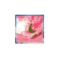 Django Django - Marble Skies vinyl cover