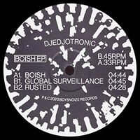 Djedjotronic - Boish vinyl cover
