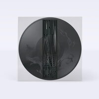 Djrum - I Wander vinyl cover