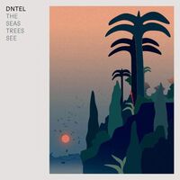 Dntel - The Seas Trees See vinyl cover