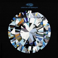 Dodgy - What Are We Fighting For vinyl cover