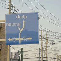 Dodo - Neutral vinyl cover