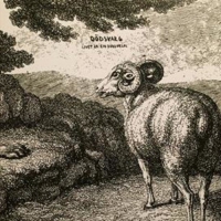 Dodsvarg - Livet Ar En Dodsorsak vinyl cover