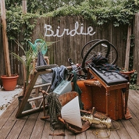 Dog Slaughter Beach - Birdie vinyl cover
