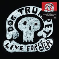 Dog Trumpet - Live Forever  vinyl cover