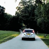 Dog Unit - Turn Right & Right Again vinyl cover