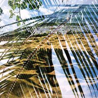 Dogs on Acid - Dogs On Acid vinyl cover