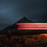 Dominic Fike - What Could Possibly Go Wrong vinyl cover