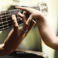 Dominic Miller - First Touch  vinyl cover