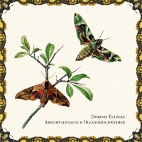 Dominik Eulberg - Abendpfauenauge & Oleanderschwarmer vinyl cover