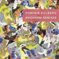 Dominik Eulberg - Avichrom Remixes vinyl cover