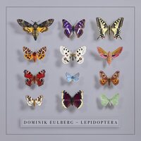 Dominik Eulberg - Lepidoptera vinyl cover