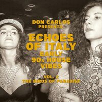 Don Carlos - Echoes Of Italy: Early 90's House Vibes Vol. 2, The Birds Of Paradise vinyl cover
