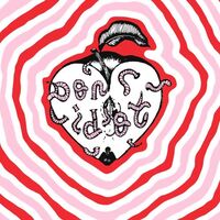 Don Idiot - Don Idiot vinyl cover