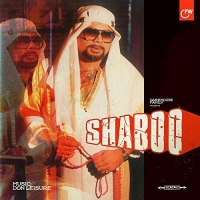 Don Leisure - Shaboo vinyl cover