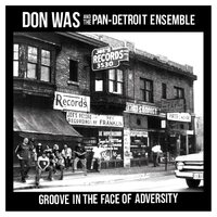 Don Was - Groove In The Face Of Adversity vinyl cover