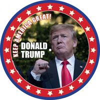 Donald Trump - Keep America Great! vinyl cover